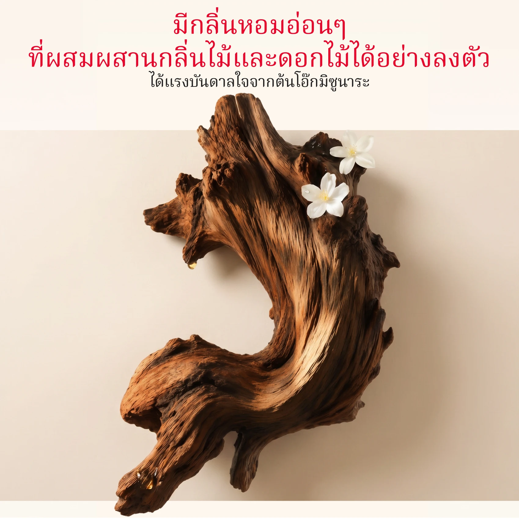Pitera Essential Duo - Wooden Block