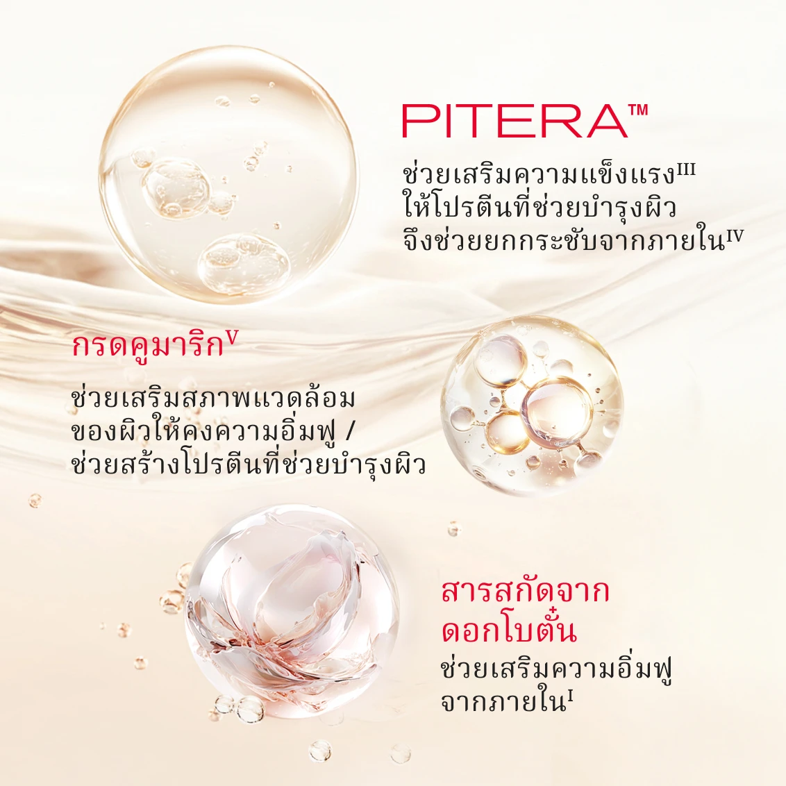 SPRNC - Gallery - 04