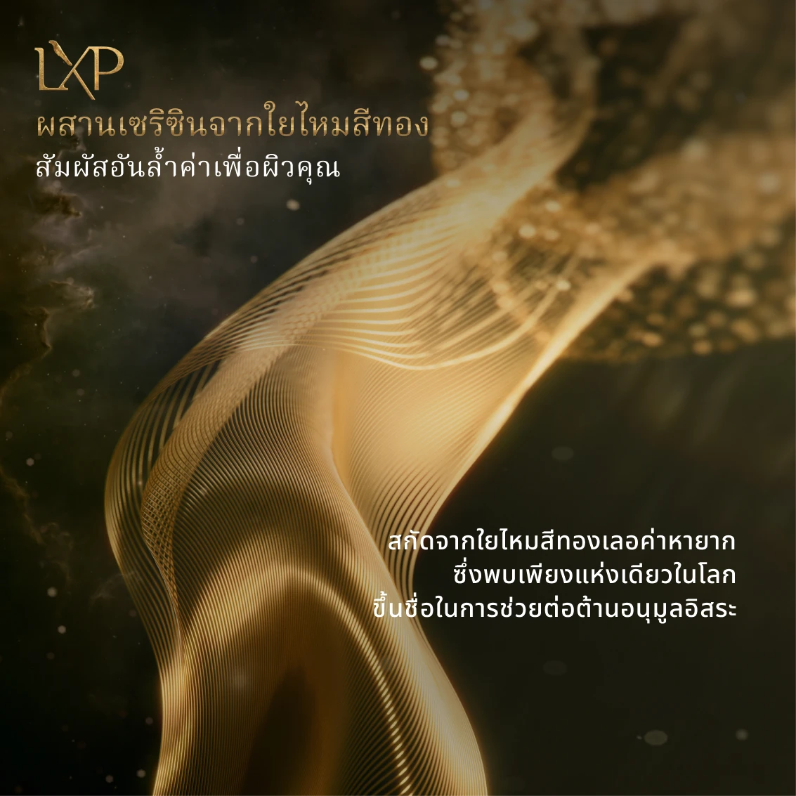 LXP Essence - Gallery - 06