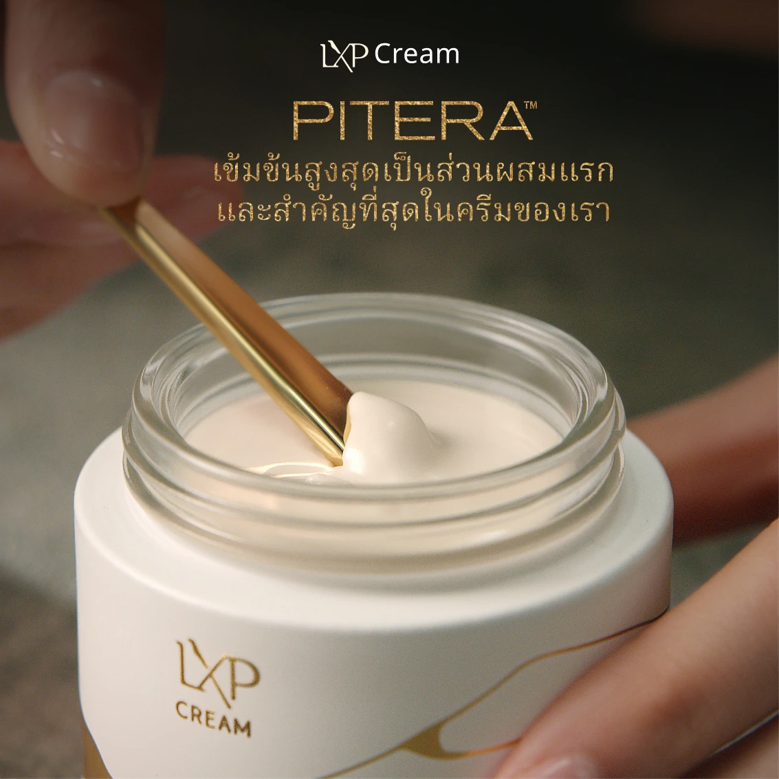 LXP Cream - Gallery - 05