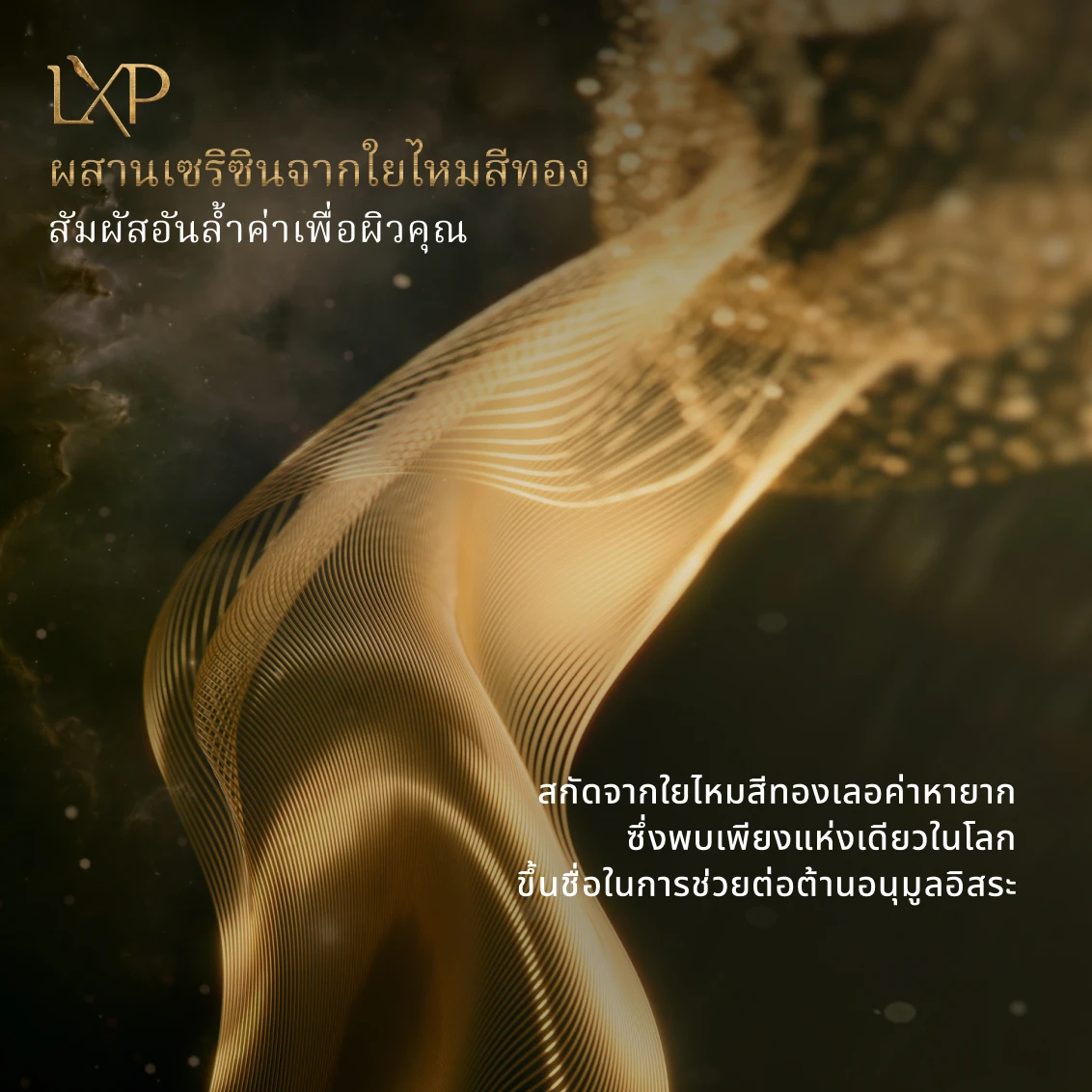 LXP Eye Cream - Gallery - 06