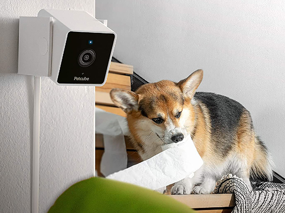 Pet Tech The Best in Pet Tech | Qantas Marketplace