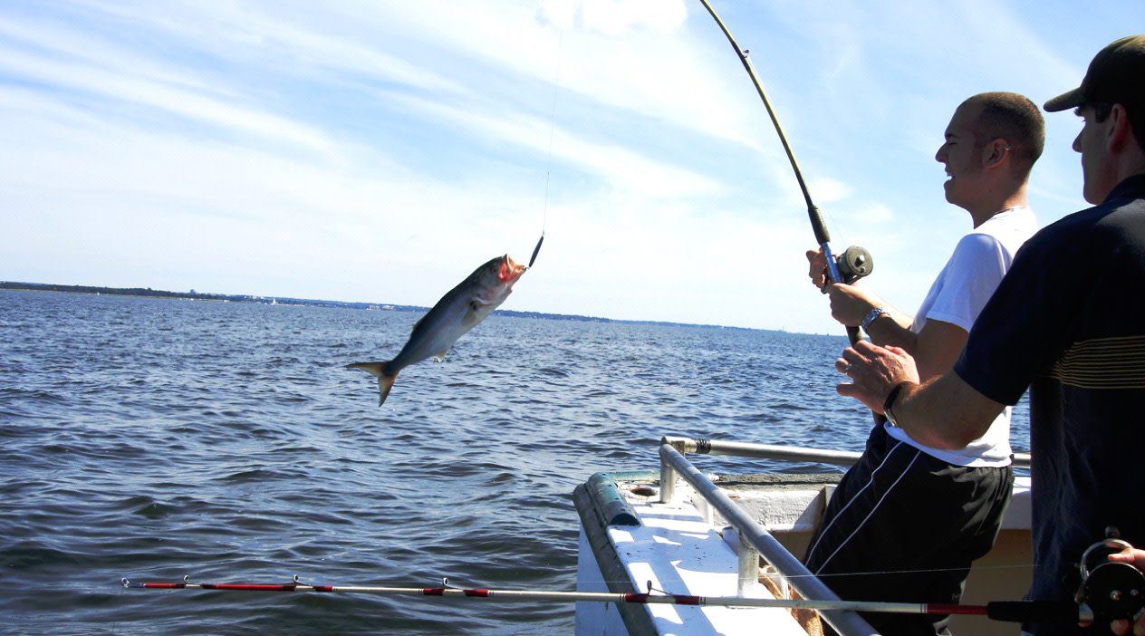 Full-Day Charter Boat Fishing: Book Tours & Activities at