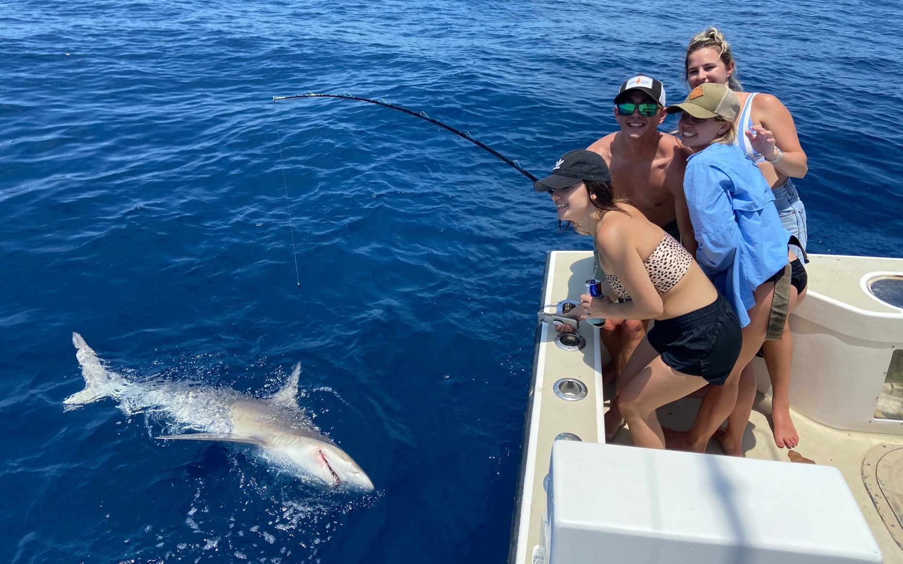Thrilling Daytime Shark Fishing Adventure: Book Tours & Activities at