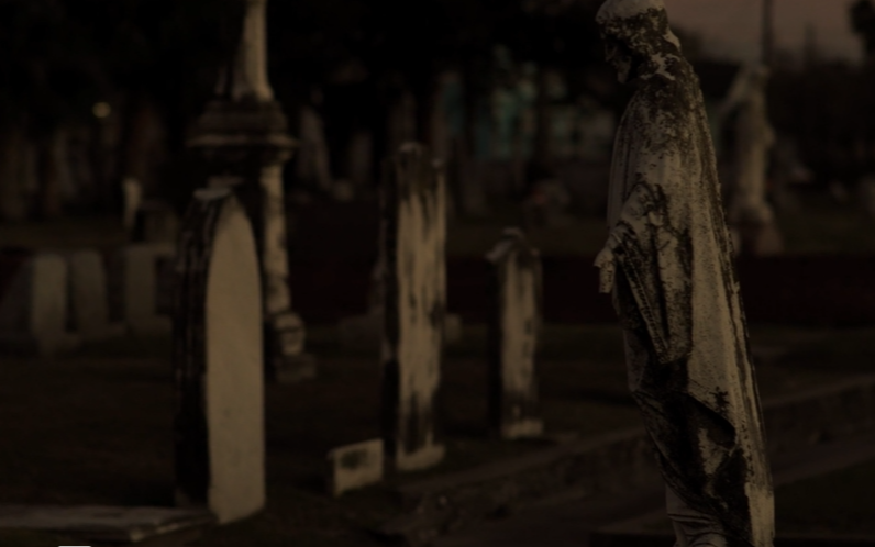 Spooky Journey: Galveston's Haunted Cemetery Tour: Book Tours ...