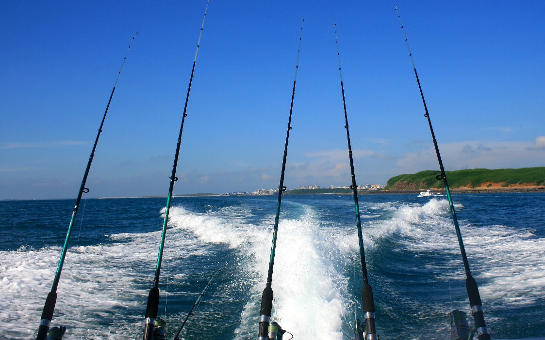 Mexican Gulf Breeze: Half-Day Fishing Charter: Book Tours & Activities at