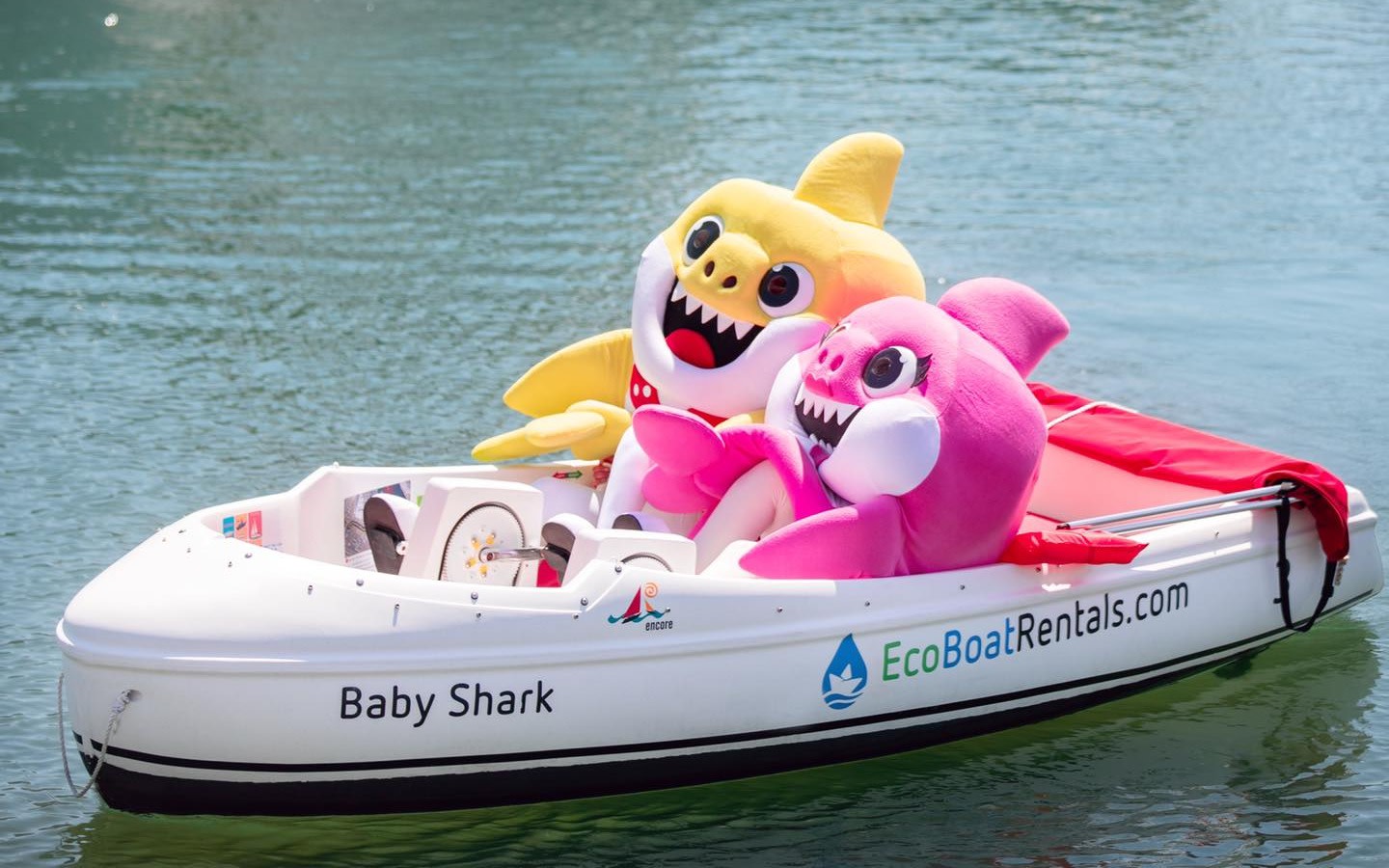 1Hour EcoFriendly Pedal Boat Rental Book Tours & Activities at