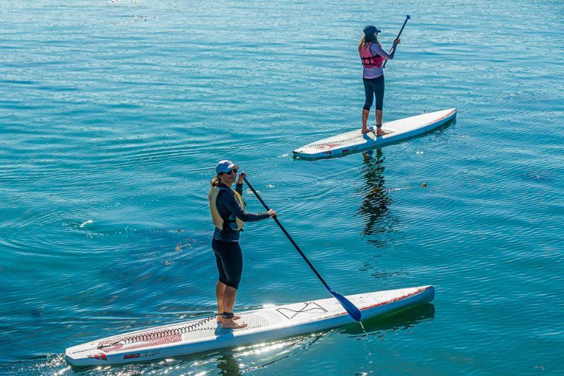 Stand Up Paddle Board Rental in Santa Cruz Harbor Book Tours