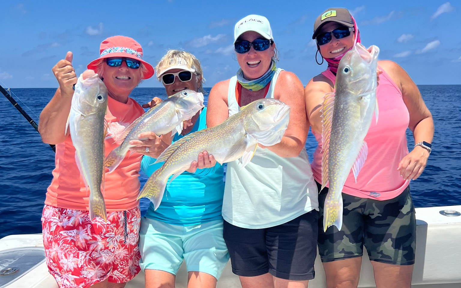 Experience the Sea-Sons 3/4 Day Fishing Charter: Book Tours & Activities at