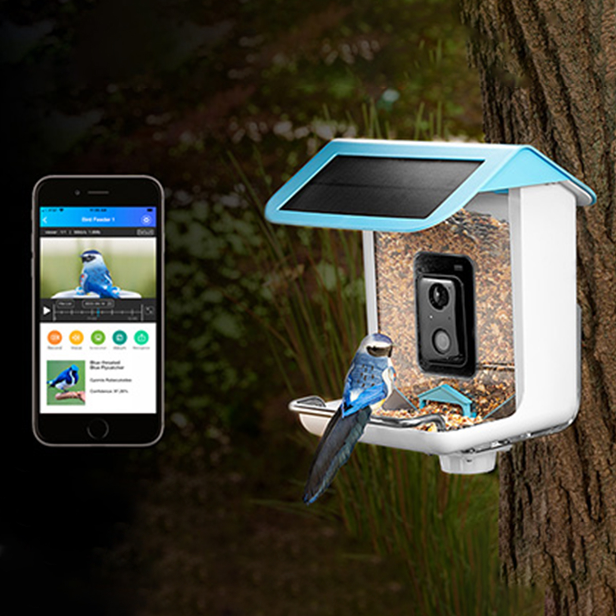 3Mi－Ki　0324 Video Camera Bird Feeder by Sharper Image @ SharperImage.com
