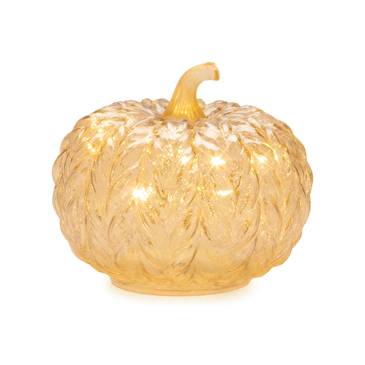 pumpkin様 51t21DukXhL.jpg_BO30,255,255,
