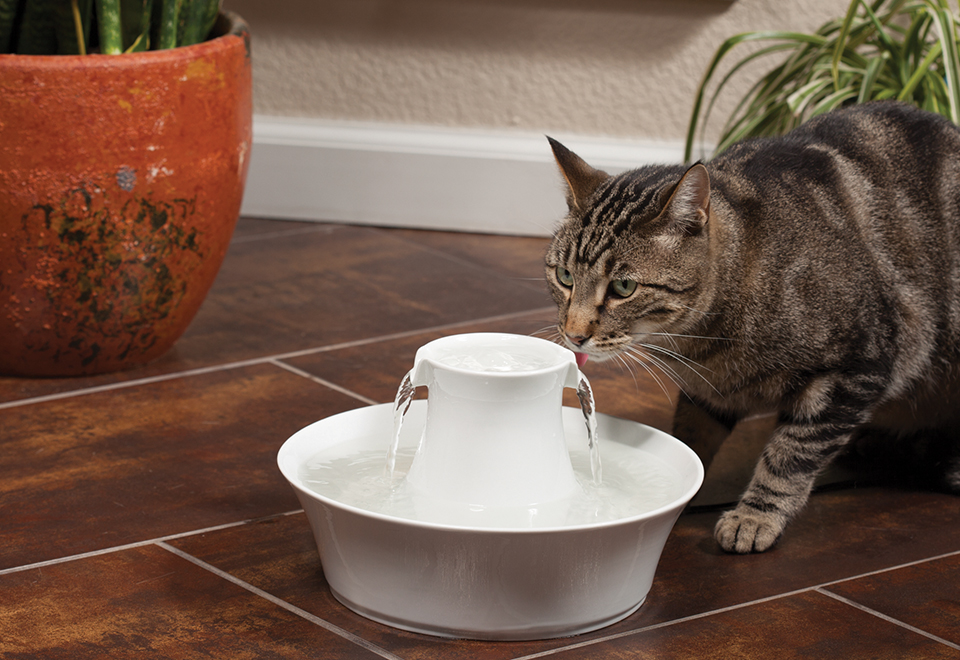 Ceramic Pet Fountain SharperImage