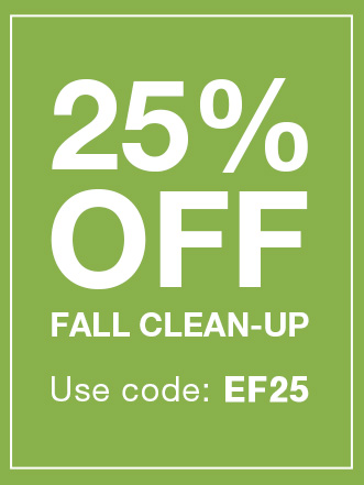 25% off
