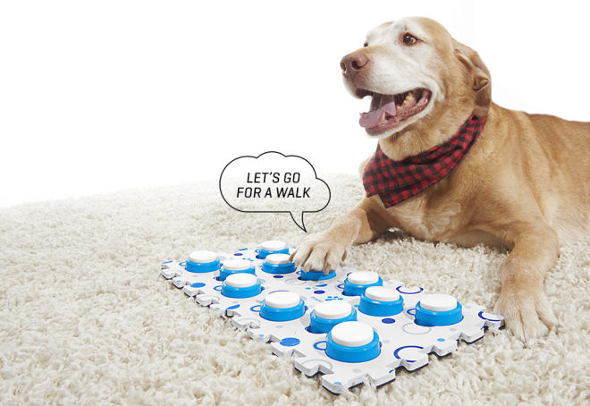 Recordable Pet Training Buttons