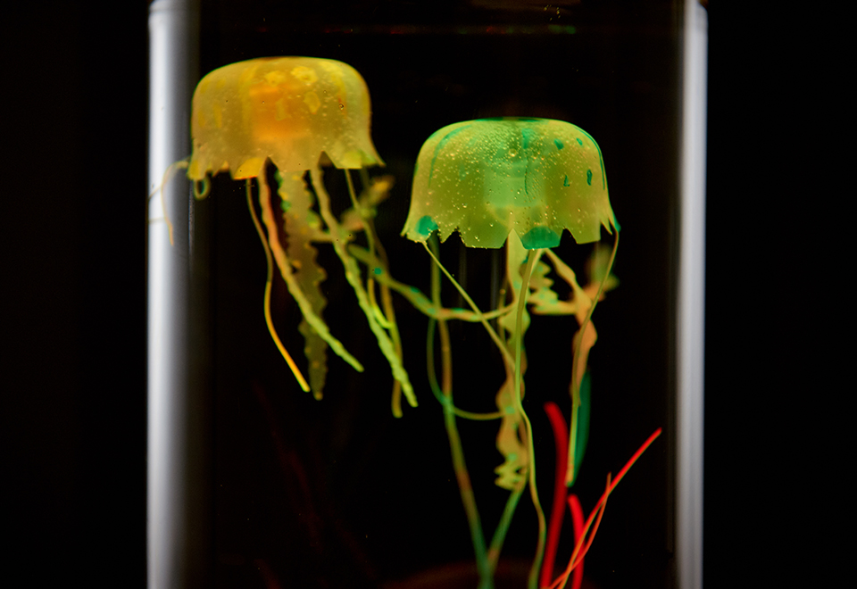 Jellyfish Aquarium @ SharperImage.com