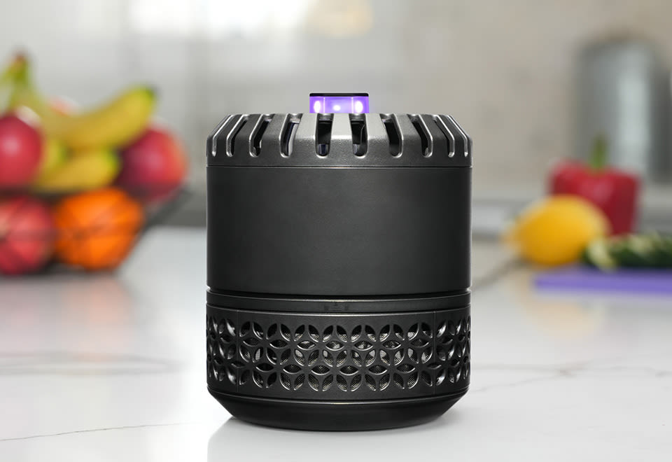 LED Indoor Flying Insect Trap