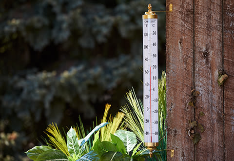 Jumbo Outdoor Thermometer