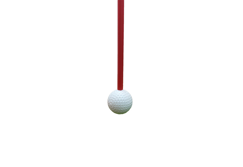 Golf Swing and Hitting Trainer @ SharperImage.com