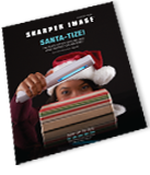 space blaster shooting game sharper image