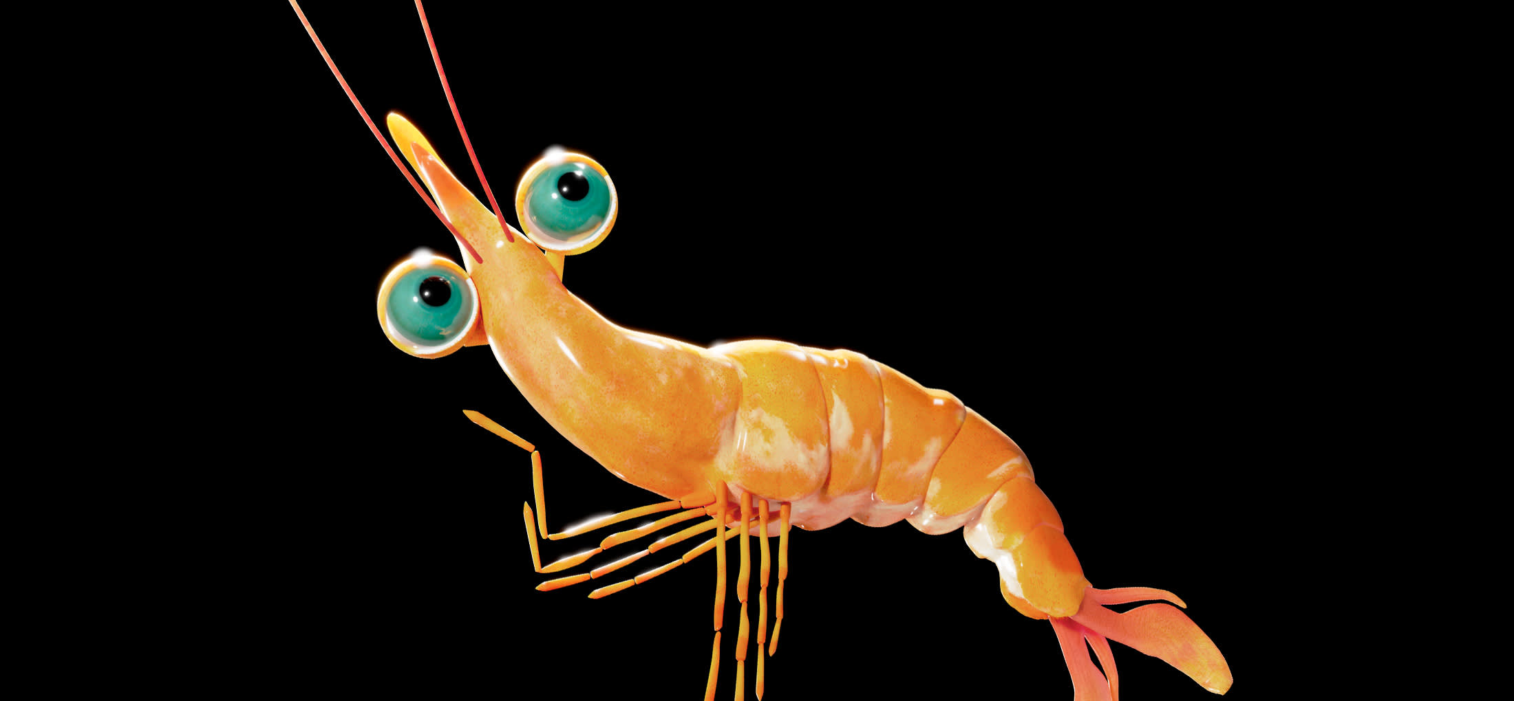 A cute little vibrant prawn dancing to a non-existent beat.
