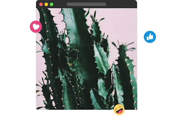 lumen5-tablet-cactus-photo