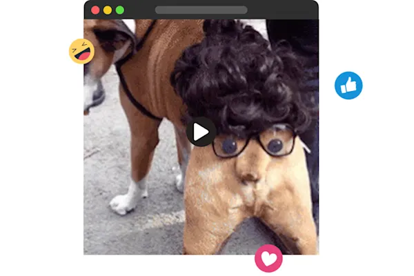 lumen5-tablet-dog-wig-glasses-gif