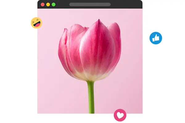 lumen5-tablet-tulip-photo