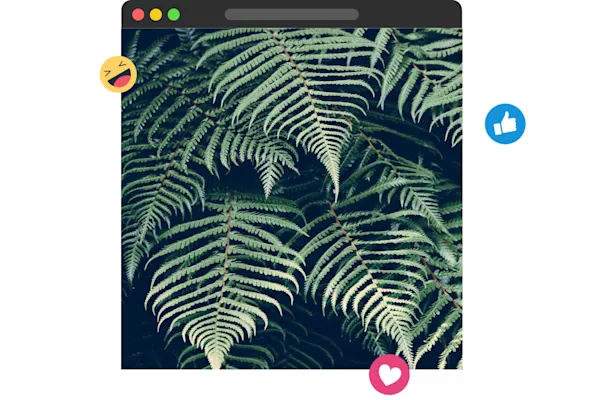 lumen5-tablet-instagram-plant-photo