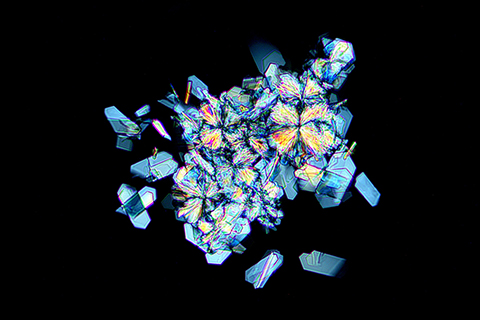 molecular model of nicotinamide riboside