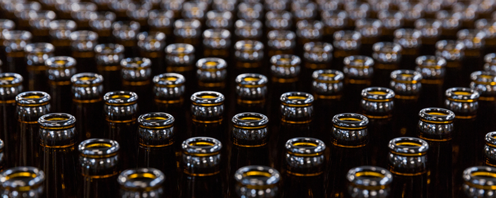 Hundreds of beer bottles