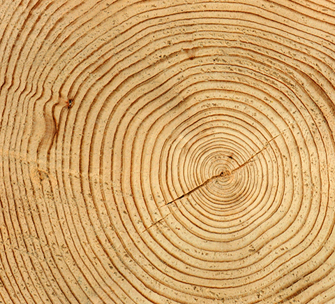 An abstract image of wood.