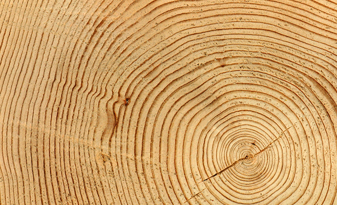 An abstract image of wood.