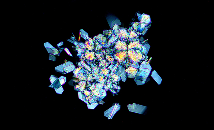 molecular model of nicotinamide riboside