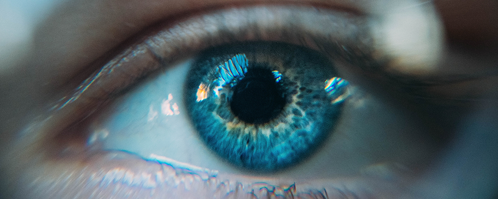 Blue Iris Eye Close Up