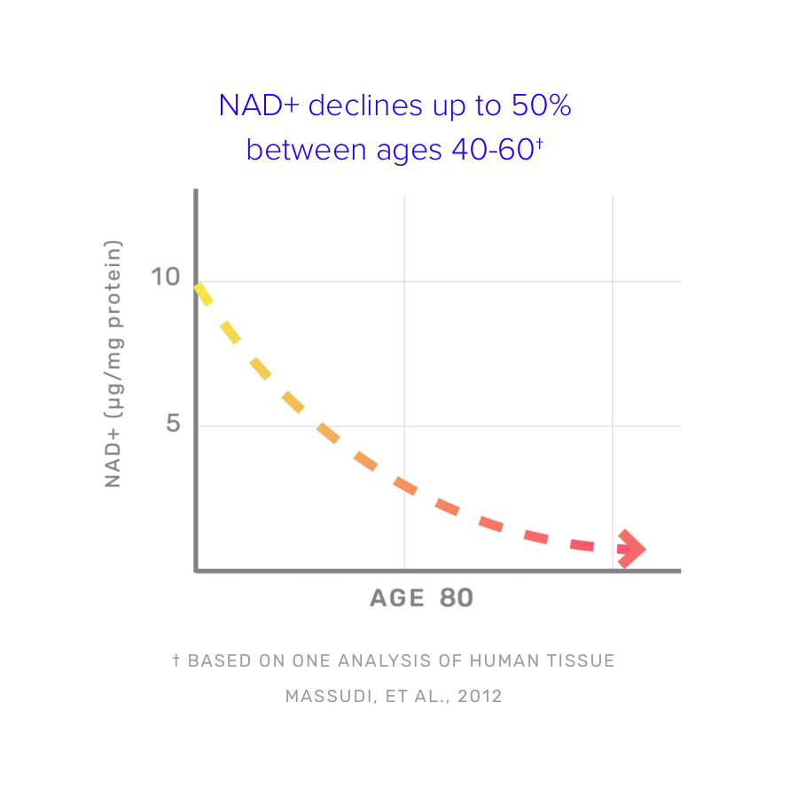 Graph showing that NAD+ declines up to 50% between ages 40-60