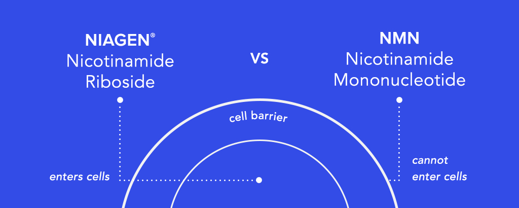 NR vs NMN diagram