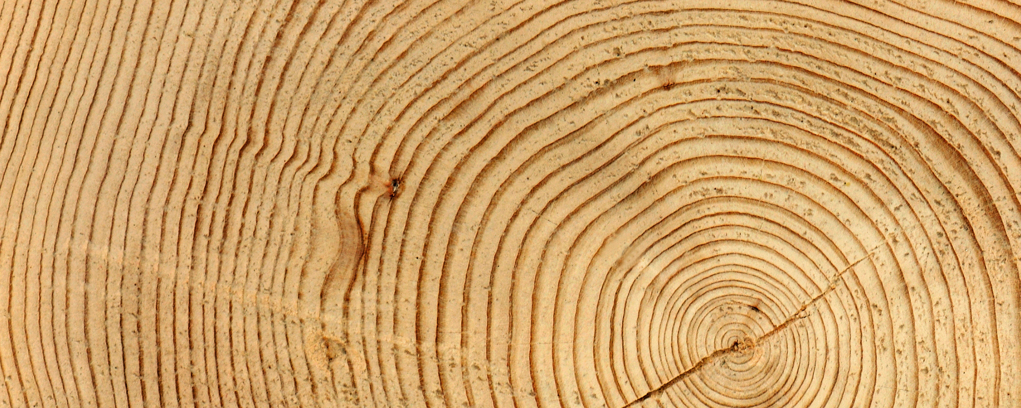 An abstract image of wood.