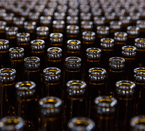 Hundreds of beer bottles