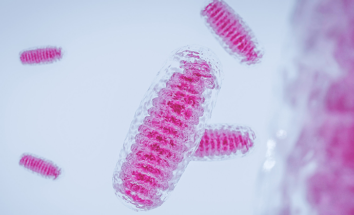 An abstract image of a mitochondria cell.