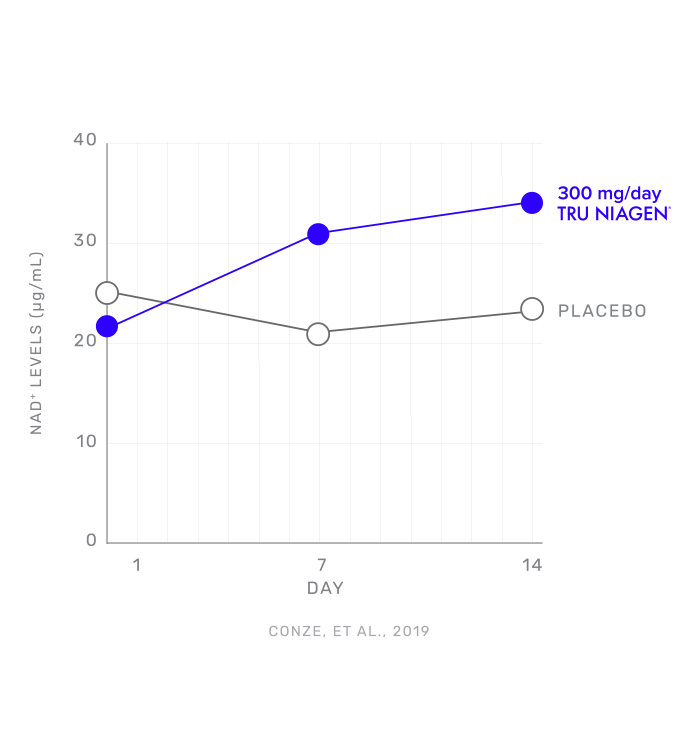 Graph showing 300mg of Tru Niagen vs placebo