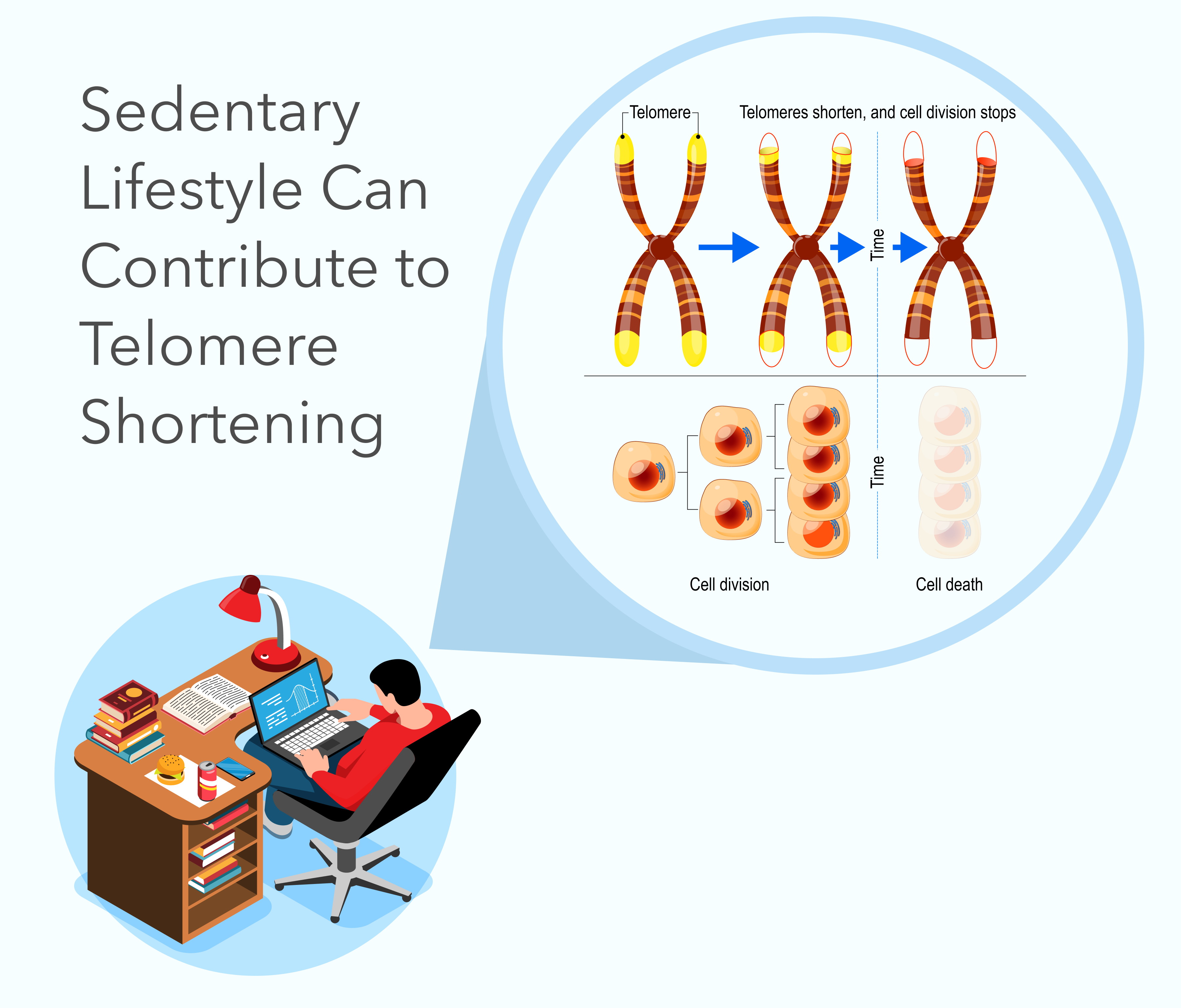How a Sedentary Lifestyle Affects Your Cells - Image
