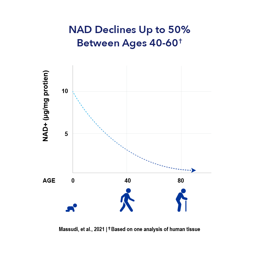 图表显示NAD+在40-60岁之间下降高达50%