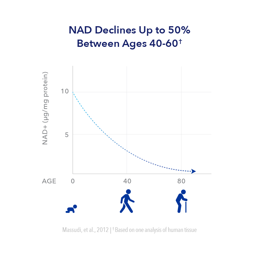 Graph showing that NAD+ declines up to 50% between ages 40-60