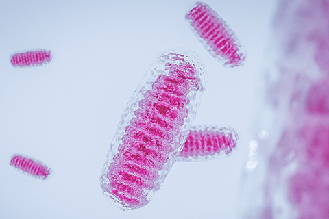 An abstract image of a mitochondria cell.