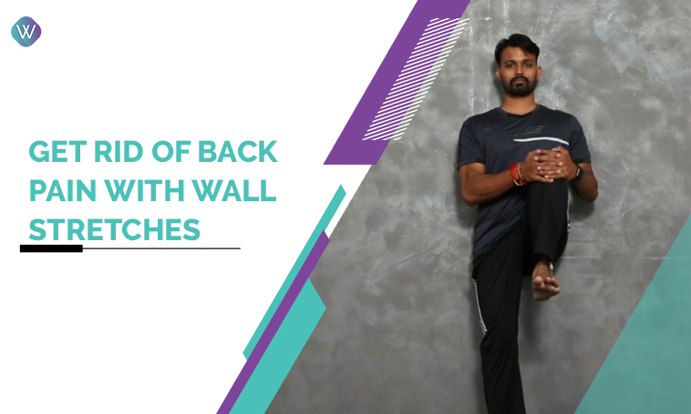 Wall stretches for discount back