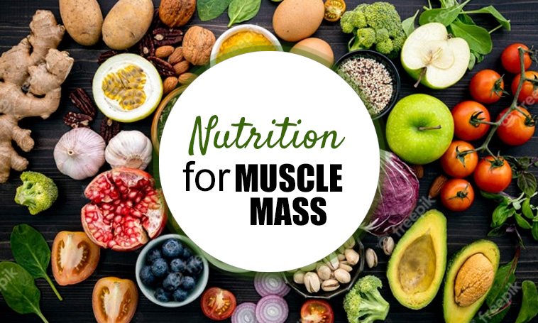 Nutrition for Muscle Mass