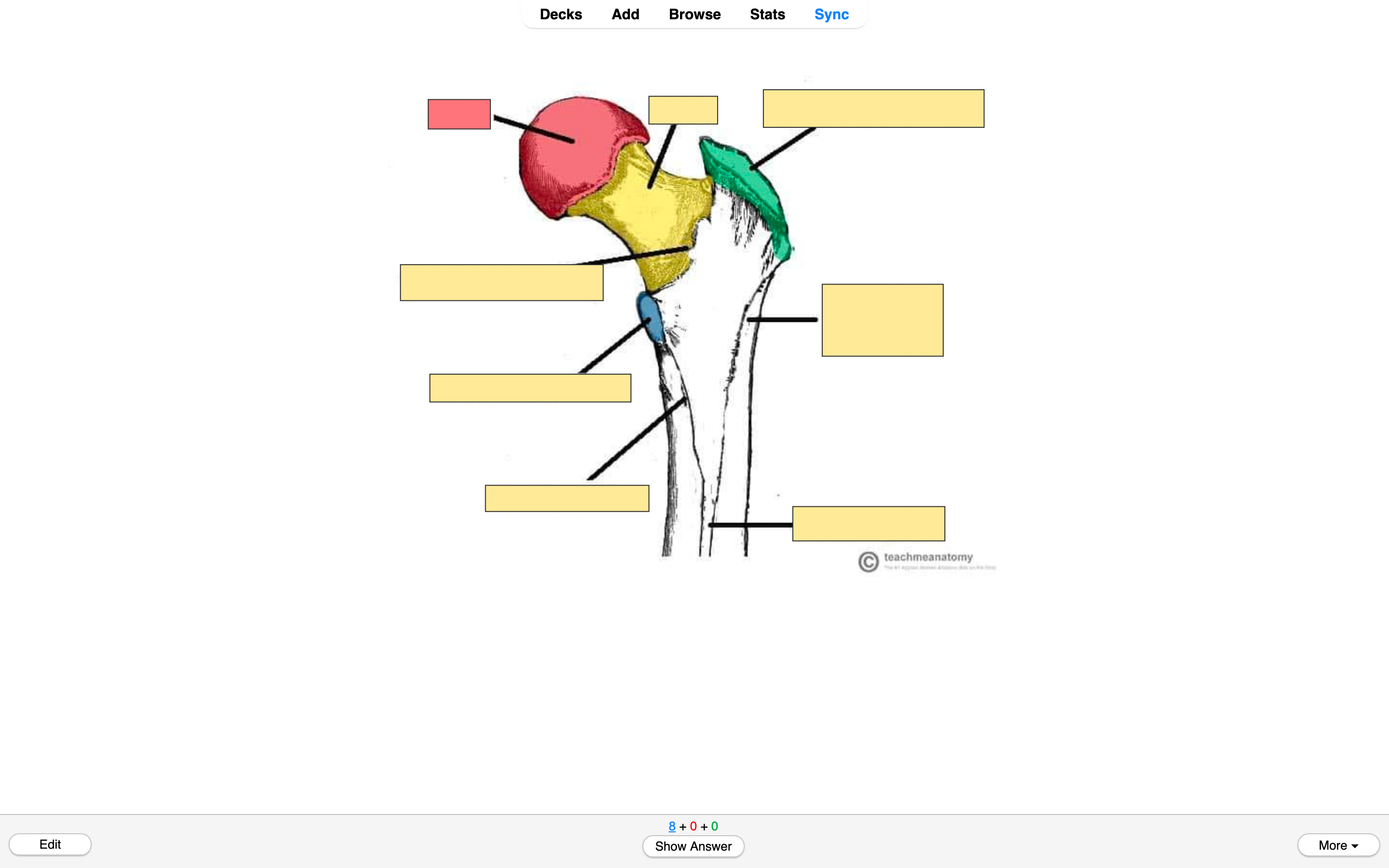 Image Occlusion