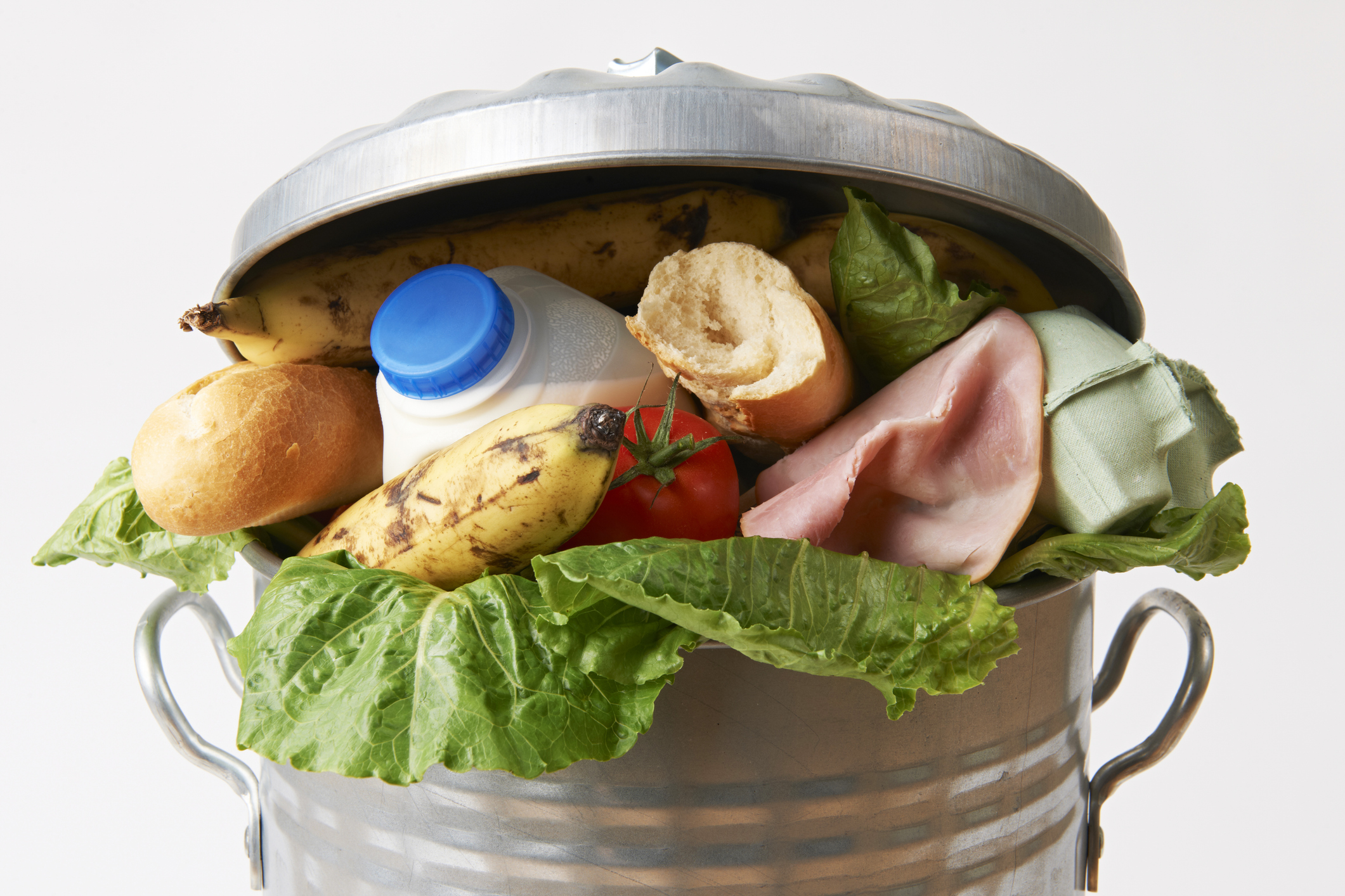 CALF Food Waste Factsheet Image