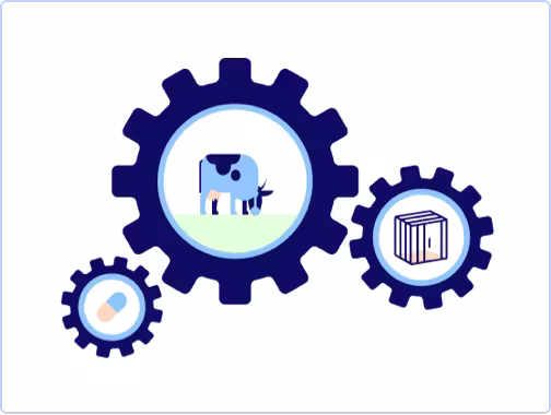 Explore levers for change
