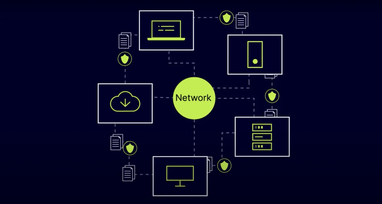 network organization scheme screenshot